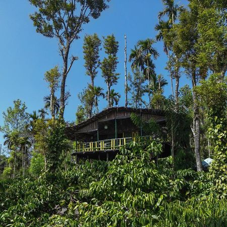 The Mountain Tree Home 瓦亚纳德 外观 照片