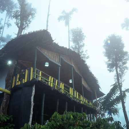 The Mountain Tree Home 瓦亚纳德 外观 照片