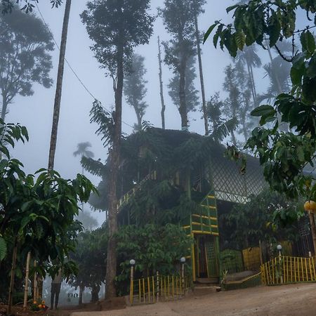 The Mountain Tree Home 瓦亚纳德 外观 照片