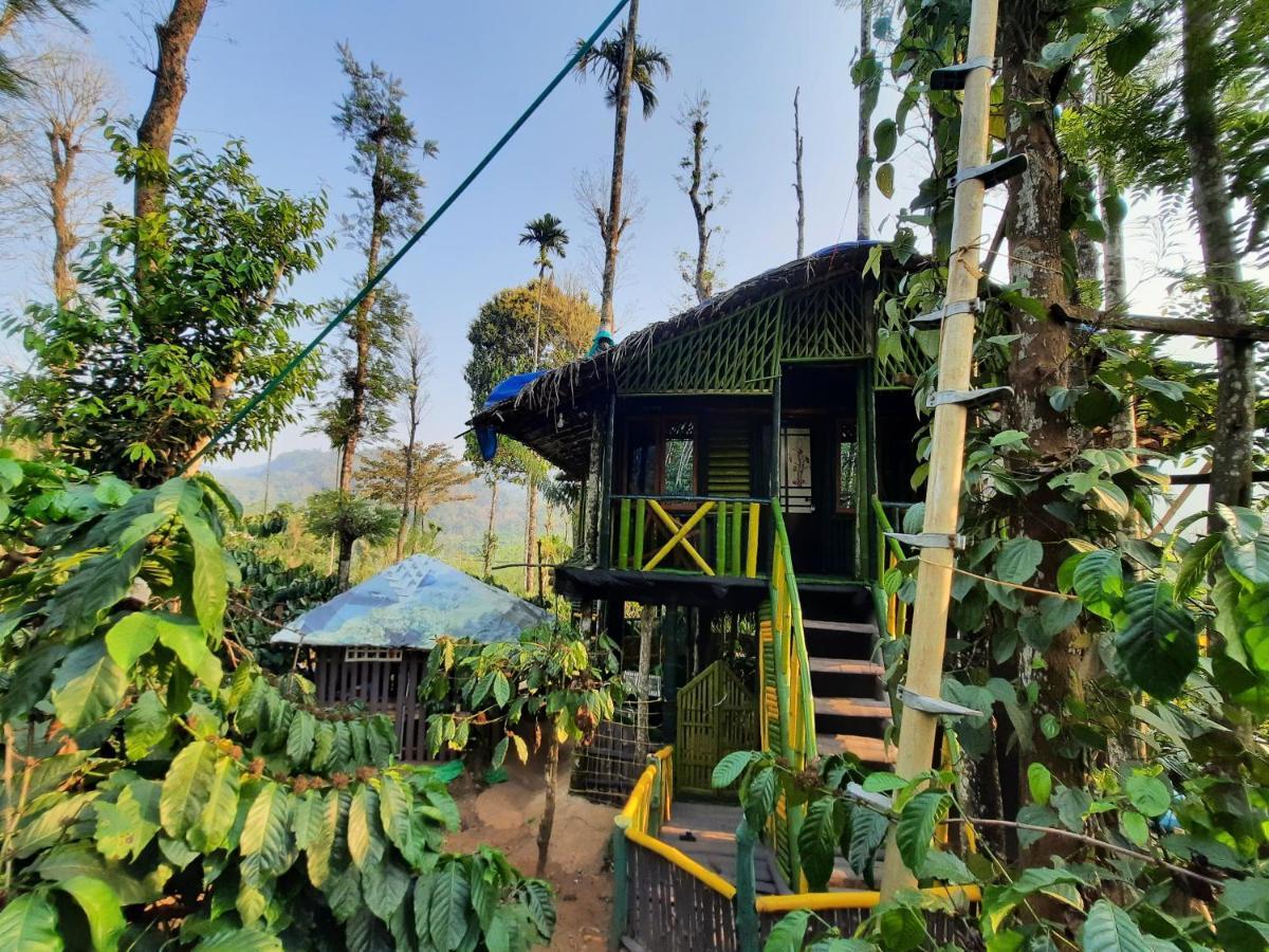 The Mountain Tree Home 瓦亚纳德 外观 照片