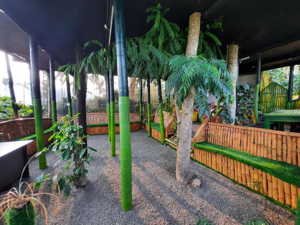 The Mountain Tree Home 瓦亚纳德 外观 照片