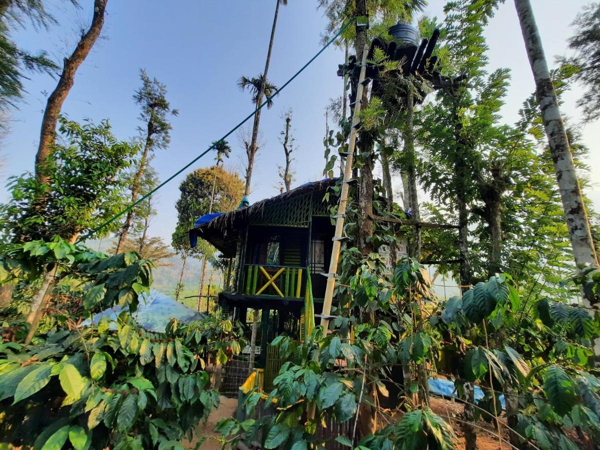 The Mountain Tree Home 瓦亚纳德 外观 照片
