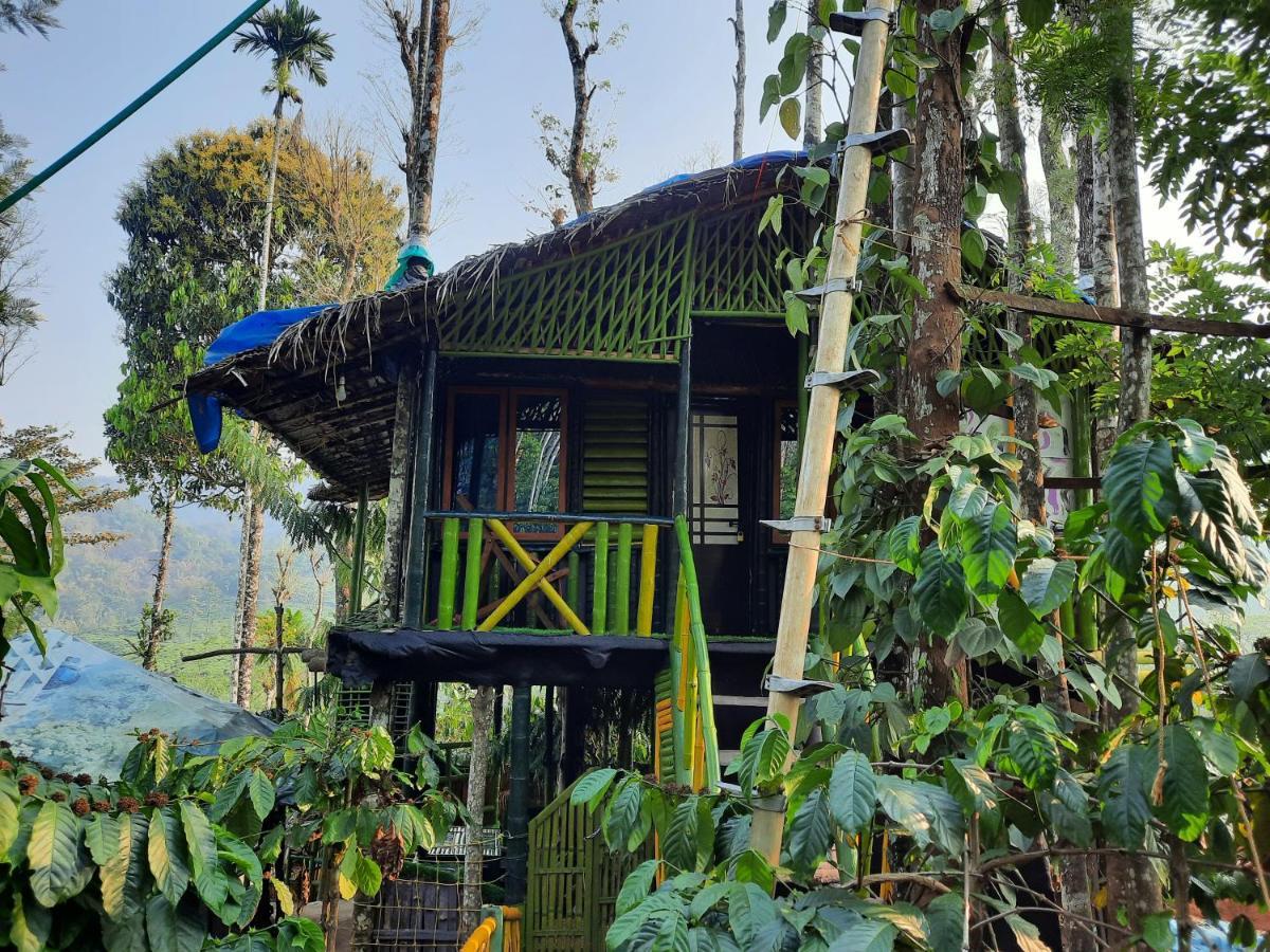 The Mountain Tree Home 瓦亚纳德 外观 照片