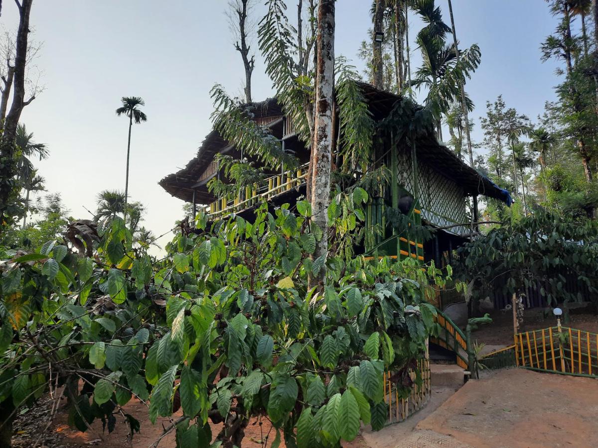 The Mountain Tree Home 瓦亚纳德 外观 照片