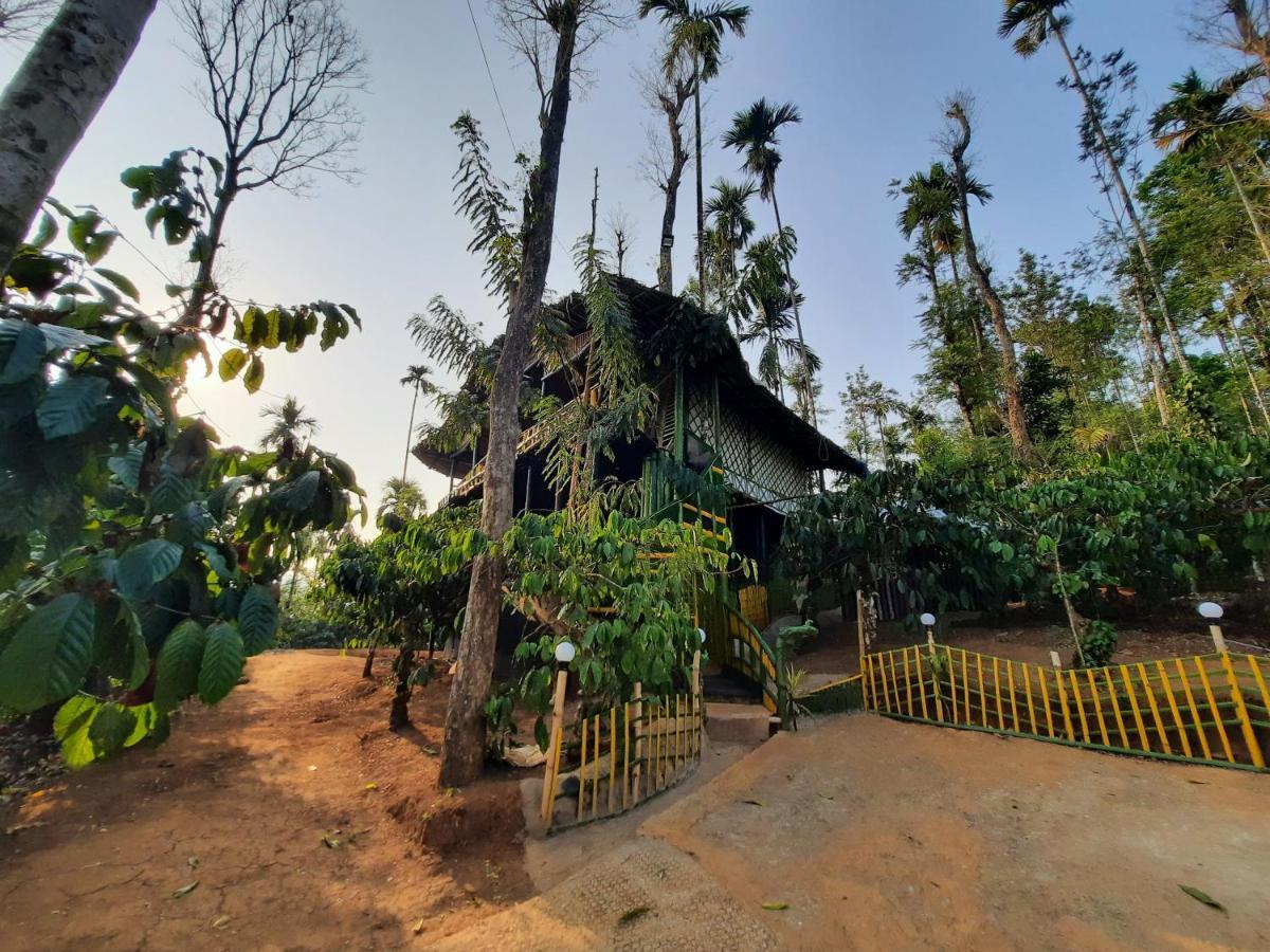 The Mountain Tree Home 瓦亚纳德 外观 照片