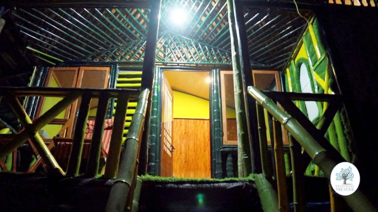 The Mountain Tree Home 瓦亚纳德 外观 照片