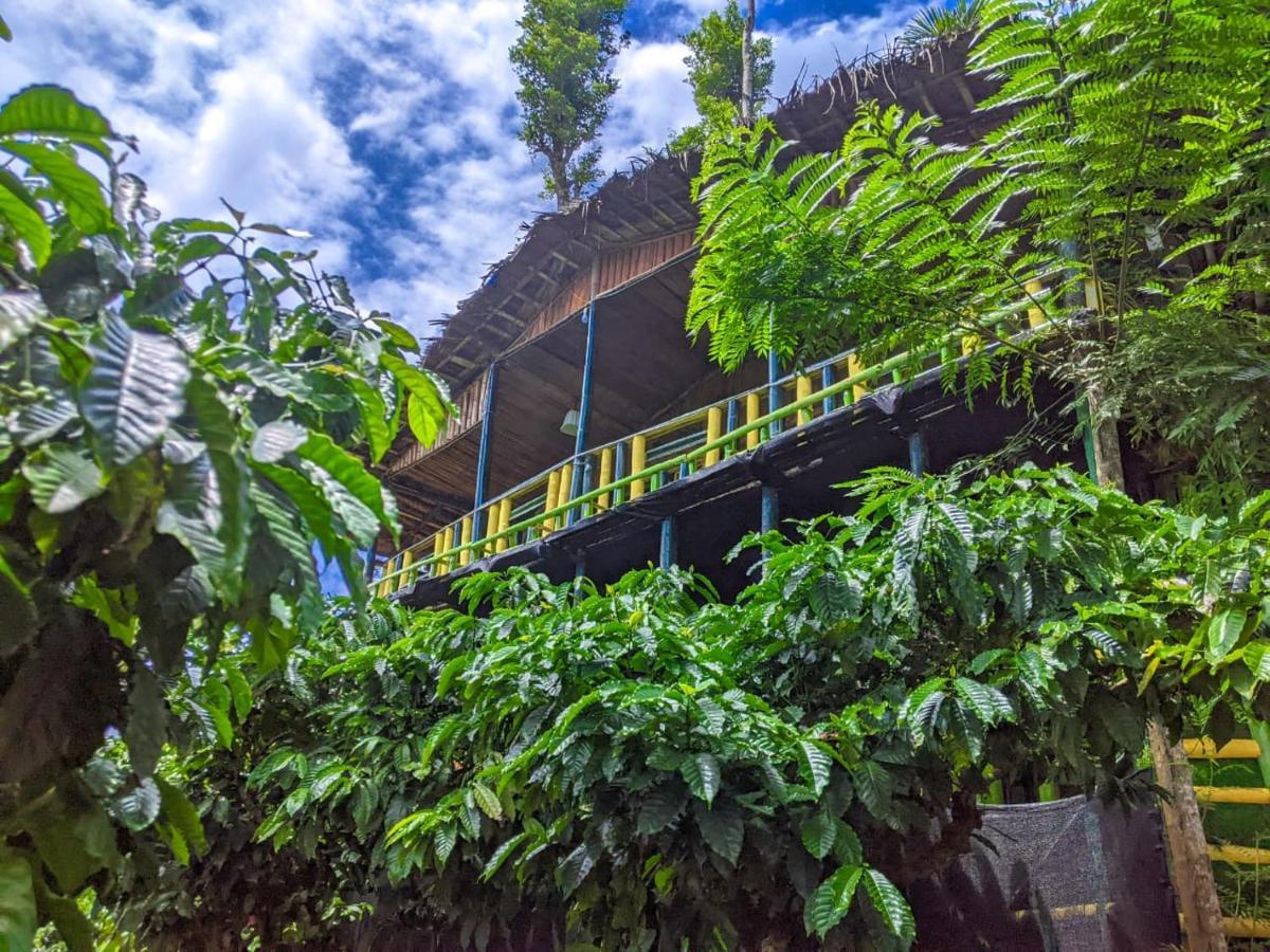 The Mountain Tree Home 瓦亚纳德 外观 照片