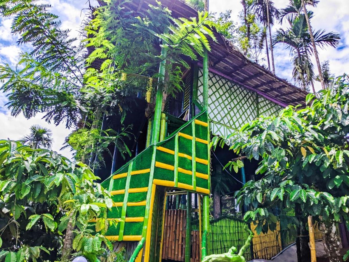 The Mountain Tree Home 瓦亚纳德 外观 照片